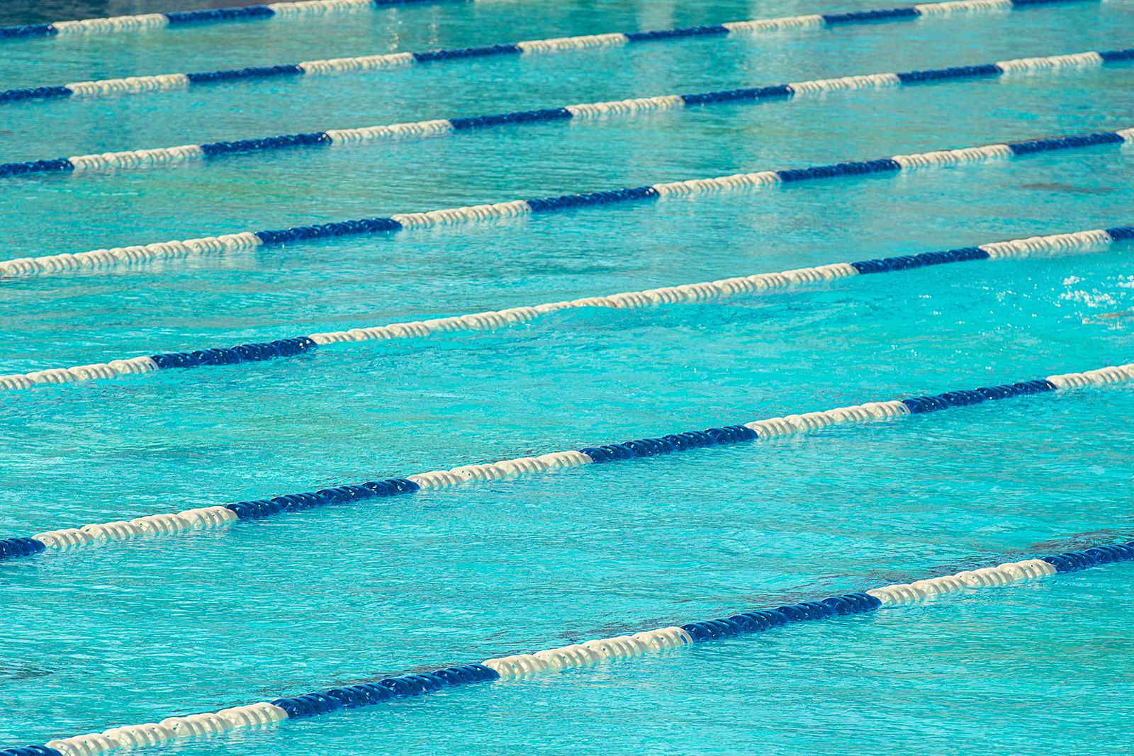 Lap Pool